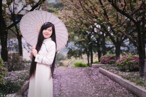 樱花校园的紫藤裙子的版本(樱花校园有紫藤礼服和旗袍)插图12 樱花校园的紫藤裙子的版本(樱花校园有紫藤礼服和旗袍)插图12