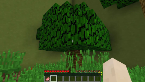 我的世界解密地图解说(鲤鱼解说我的世界生活大冒险)插图9 我的世界解密地图解说(鲤鱼解说我的世界生活大冒险)插图9