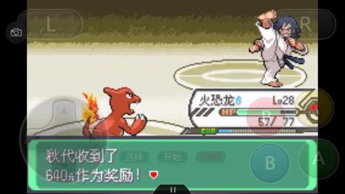 口袋妖怪绿宝石386二周目攻略(幻影之塔每一层有什么精灵)插图61