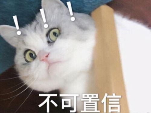 洛克王国威廉古堡背景(洛克王国古堡相框有什么用)插图8 洛克王国威廉古堡背景(洛克王国古堡相框有什么用)插图8