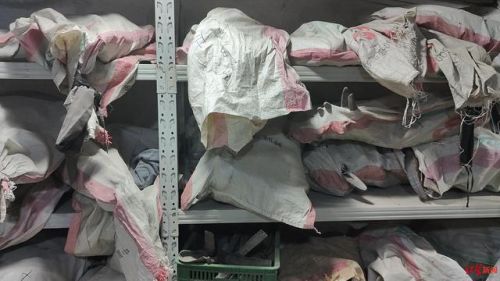 弓箭传奇(打米传奇)插图7 弓箭传奇(打米传奇)插图7