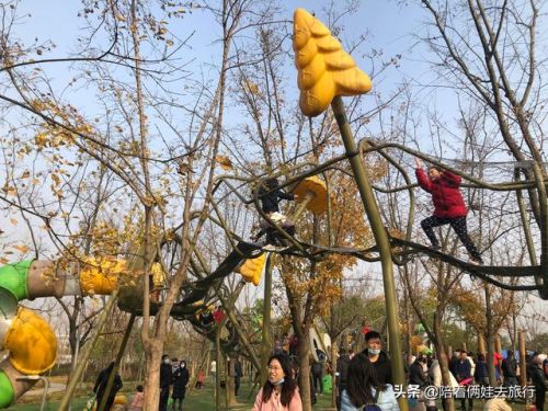 洛克王国紫藤(洛克王国紫藤的快速收集方法)插图55