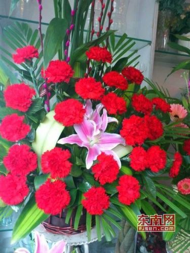 母亲节是几月几号(2023年母亲节是哪一天)