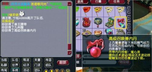 口袋怪兽金刚石(口袋妖怪金银进化石)插图1 口袋怪兽金刚石(口袋妖怪金银进化石)插图1