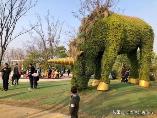 洛克王国紫藤(洛克王国紫藤的快速收集方法)插图52