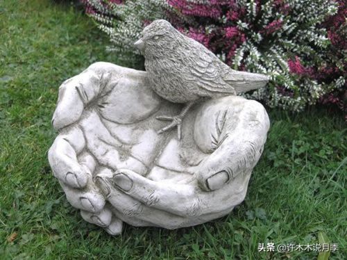 玫瑰花园游戏攻略(玫瑰花园怎么玩)插图8