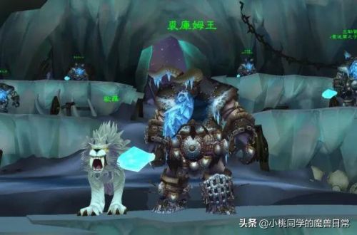 霍迪尔之矛怎么做(坚韧猛犸象的毛皮不掉)