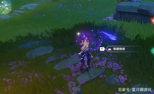 绯樱绣球怎么采集点(如何收集绯樱绣球)插图3 绯樱绣球怎么采集点(如何收集绯樱绣球)插图3