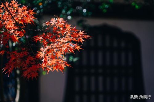 造梦西游2地藏金戒怎么融(造梦西游2八戒地藏金戒怎么融)插图5 造梦西游2地藏金戒怎么融(造梦西游2八戒地藏金戒怎么融)插图5