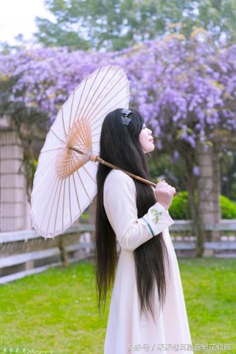 樱花校园的紫藤裙子的版本(樱花校园有紫藤礼服和旗袍)插图19 樱花校园的紫藤裙子的版本(樱花校园有紫藤礼服和旗袍)插图19