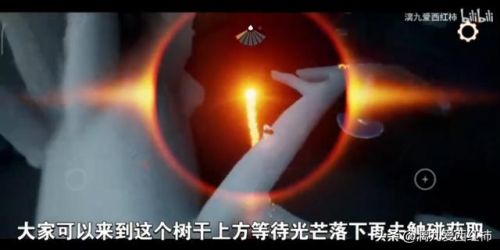 光遇地之灵什么时候出现(地之灵等多久才下来)