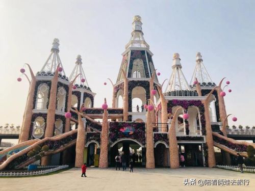 洛克王国紫藤(洛克王国紫藤的快速收集方法)插图30