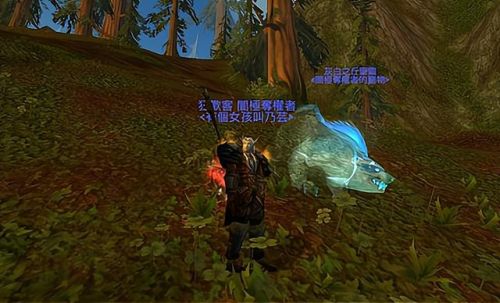 魔兽世界猎人幽灵狼(80级猎人幽灵狼在哪里抓)插图5