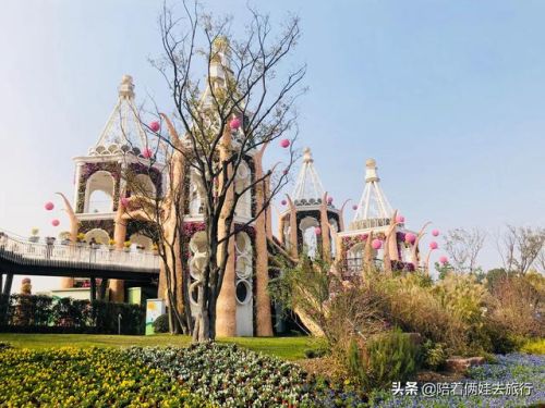 洛克王国紫藤(洛克王国紫藤的快速收集方法)插图29