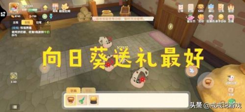 摩尔庄园青瓜怎么获得(摩尔庄园夏日清爽凉面)插图1