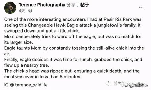虐杀原形2利爪猛击任务(利爪猛击那关怎么过啊)插图