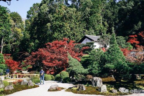 造梦西游2地藏金戒怎么融(造梦西游2八戒地藏金戒怎么融)插图17 造梦西游2地藏金戒怎么融(造梦西游2八戒地藏金戒怎么融)插图17