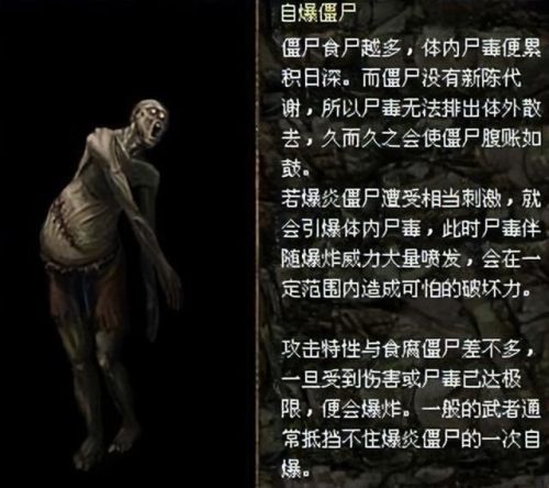 刀剑封魔录外传上古传说秘籍(刀剑封魔录秘籍复制物品)插图25