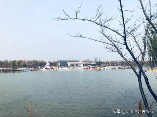 洛克王国紫藤(洛克王国紫藤的快速收集方法)插图6