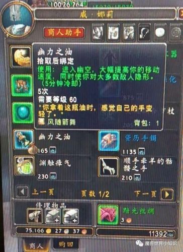 魔兽世界占卜者符文(魔兽世界消灭符文大师玛弗洛克)插图1