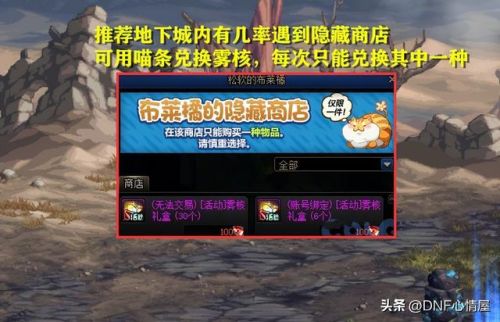 dnf神秘商店活动(dnf惊喜快闪店怎么触发)插图18
