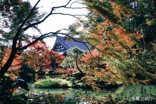 造梦西游2地藏金戒怎么融(造梦西游2八戒地藏金戒怎么融)插图13 造梦西游2地藏金戒怎么融(造梦西游2八戒地藏金戒怎么融)插图13