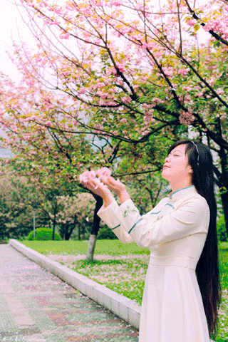 樱花校园的紫藤裙子的版本(樱花校园有紫藤礼服和旗袍)插图14 樱花校园的紫藤裙子的版本(樱花校园有紫藤礼服和旗袍)插图14