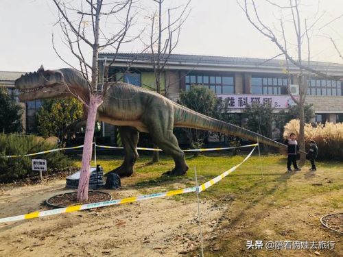 洛克王国紫藤(洛克王国紫藤的快速收集方法)插图27