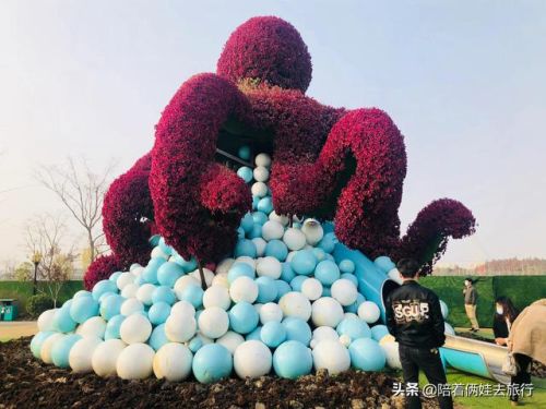 洛克王国紫藤(洛克王国紫藤的快速收集方法)插图59