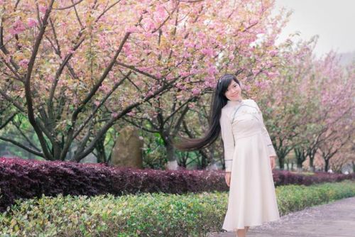 樱花校园的紫藤裙子的版本(樱花校园有紫藤礼服和旗袍)插图15 樱花校园的紫藤裙子的版本(樱花校园有紫藤礼服和旗袍)插图15