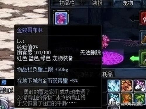 金钱哥布林宠物(地下城与勇士金钱哥布林)插图1