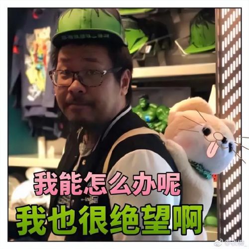猎人打巫妖王卡组2020(炉石传说巫妖王平民卡组)插图