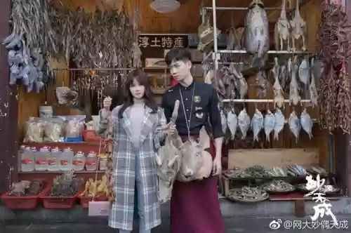 离人搭配什么阵容最强(歧路旅人最佳阵容搭配)插图8 离人搭配什么阵容最强(歧路旅人最佳阵容搭配)插图8