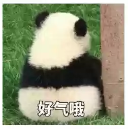 下棋全龙阵容搭配图片(龙争虎斗什么阵容最强)插图 下棋全龙阵容搭配图片(龙争虎斗什么阵容最强)插图