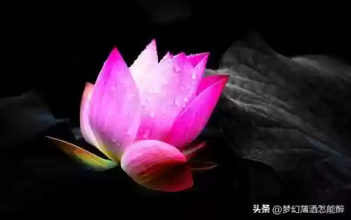 梦幻西游配角推荐阵容搭配(梦幻西游)插图1
