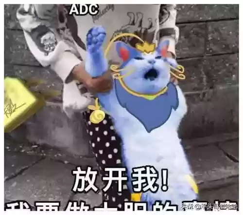 猫和老鼠不打野的阵容搭配(猫和老鼠克制表)插图4