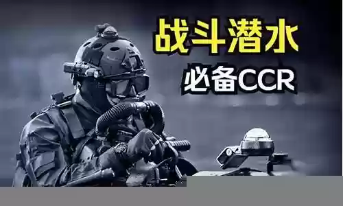 蛙人战术搭配什么阵容