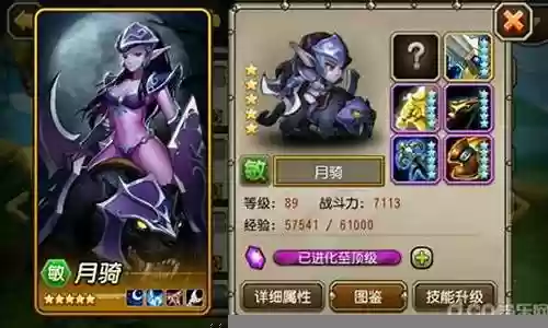 月骑搭配什么阵容
