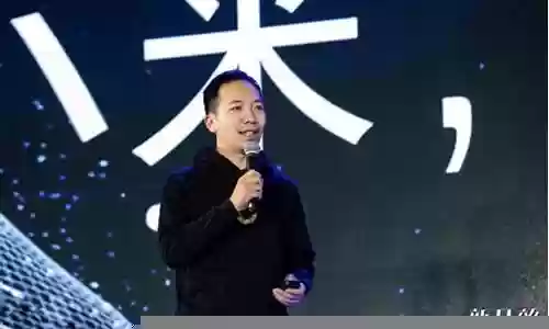 小米洪锋阵容搭配