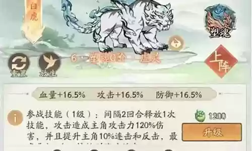 白虎前期阵容搭配图片
