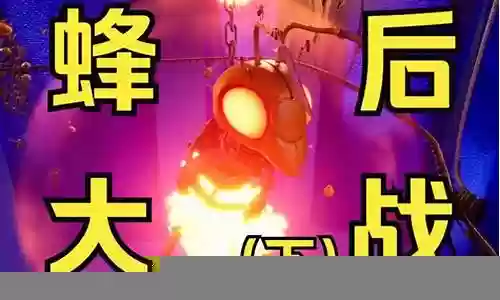 机械蜂后怎么搭配阵容插图