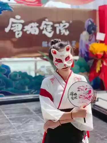 唐猫阵容插图1