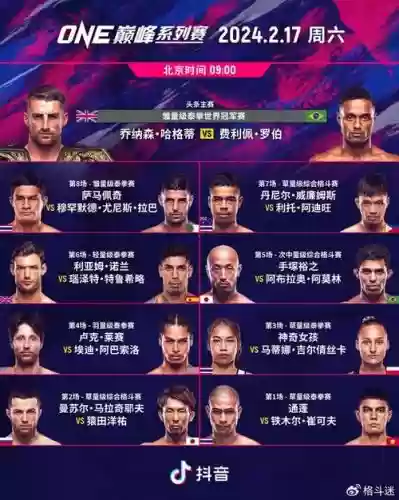 one格斗阵容插图1