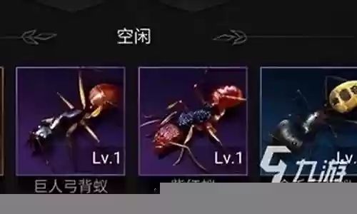 小小蚁国近卫阵容搭配插图