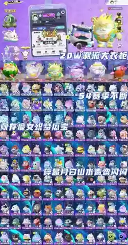 白菜阵容插图 白菜阵容插图