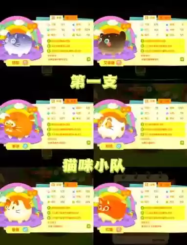 猫咪阵容过渡插图