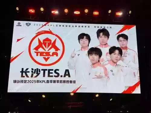 kpltes阵容插图