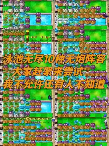平民植物阵容插图1