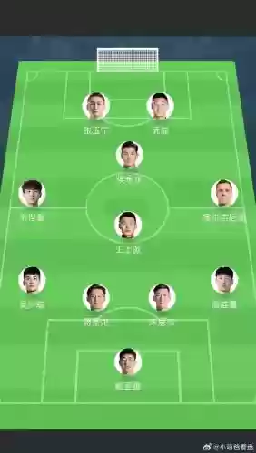 2002沙特阵容插图