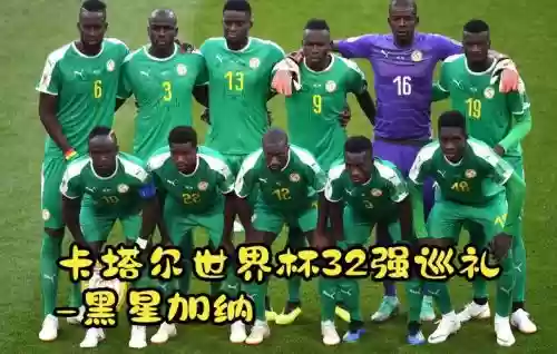 伽纳阵容插图